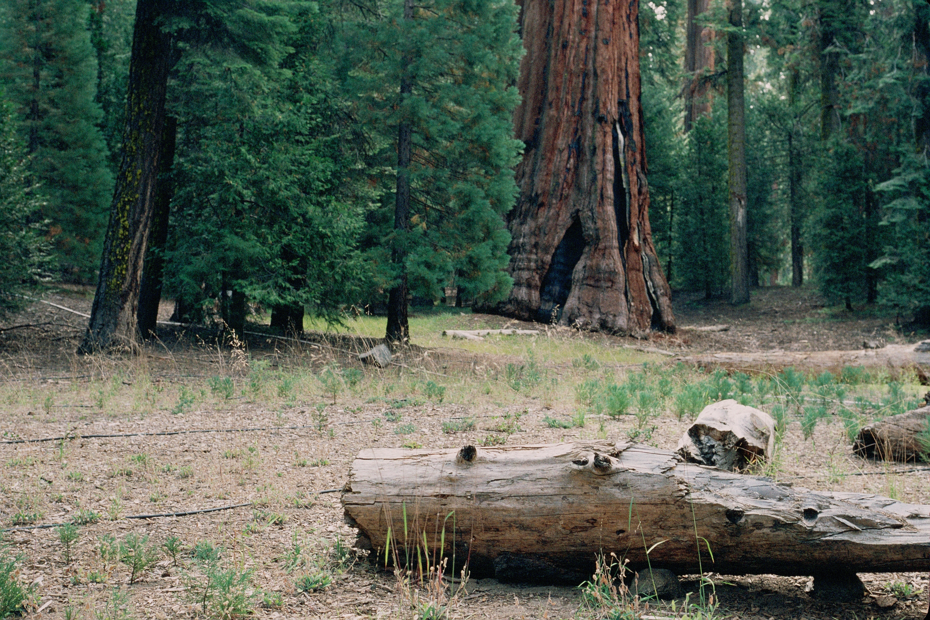 A view in the Lodge area before restoration