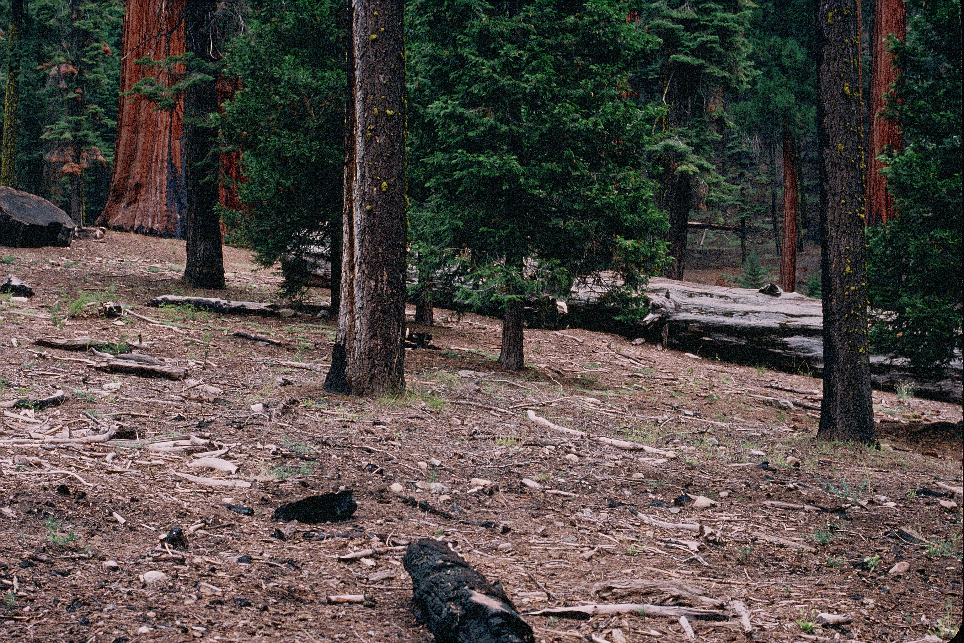 A view of buildings in the Lodge area before restoration