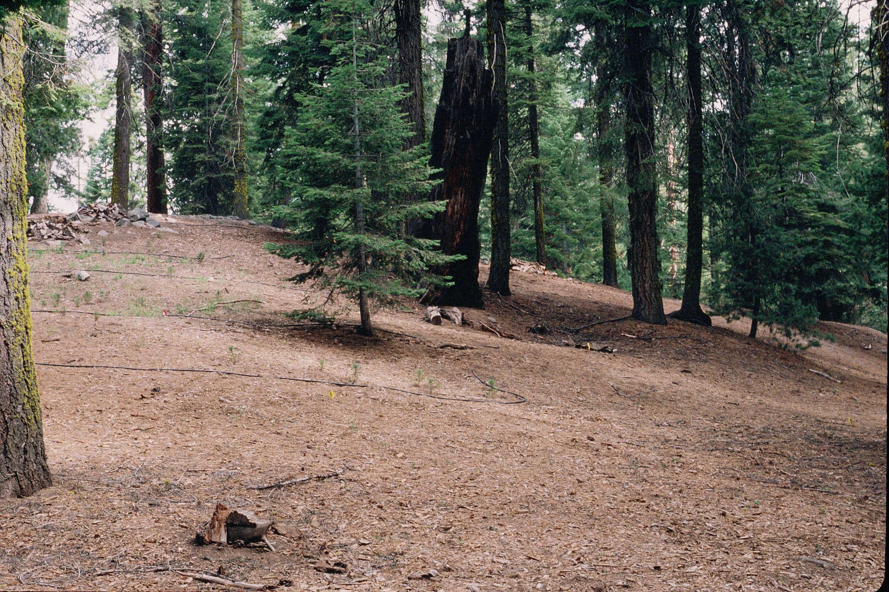 a view of the Kaweah Market area before restoration