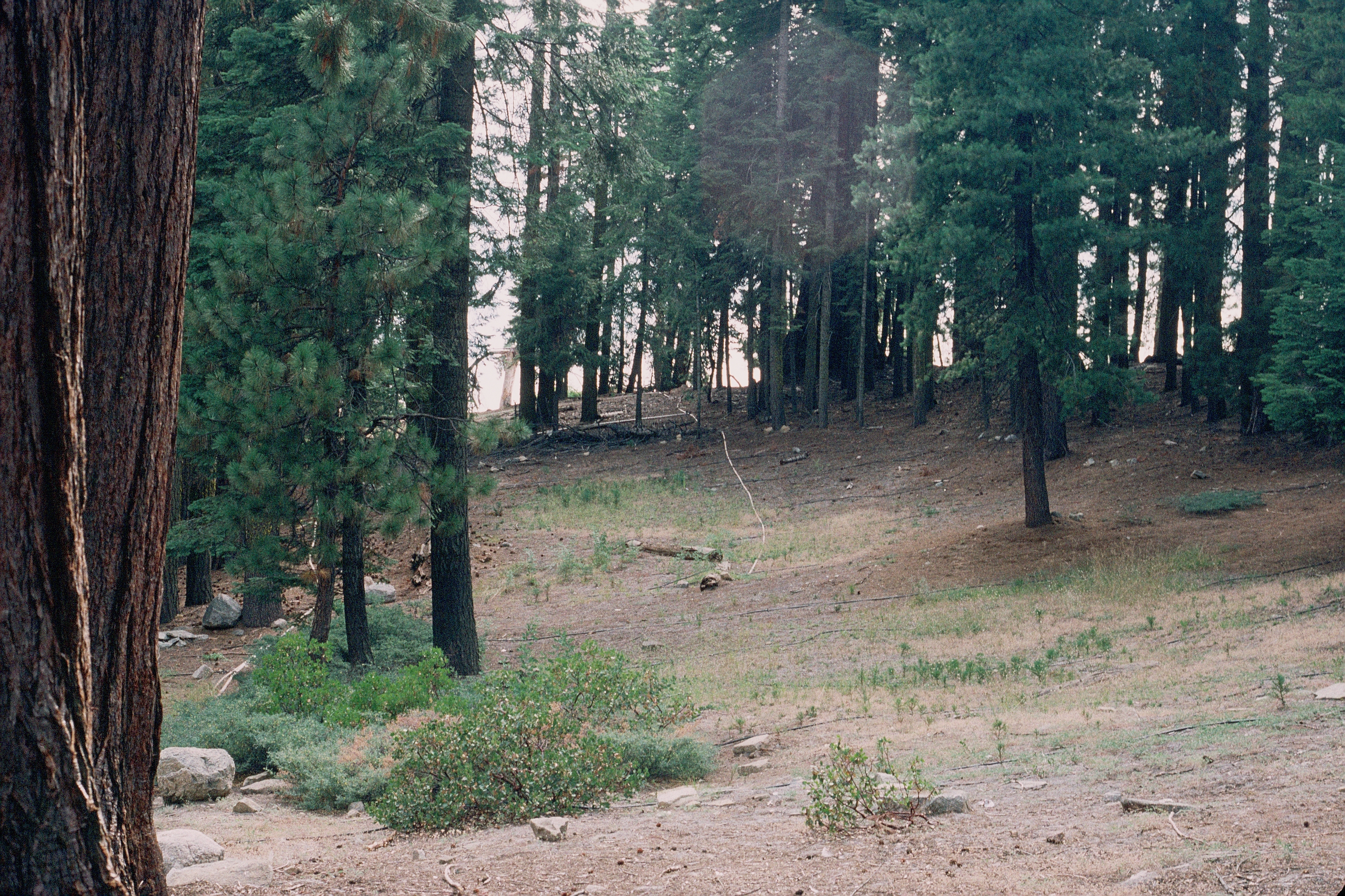 A building in the Kaweah Market area before restoration