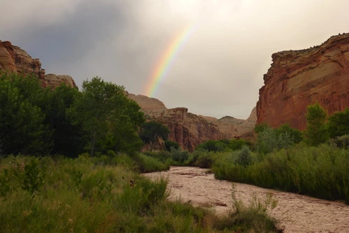 Flash flood, Capitol Reef National Park, 2015.
