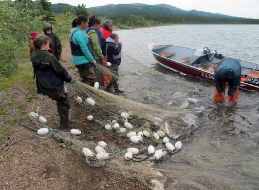 eight adults and kids pulling a net of fish out of a lake