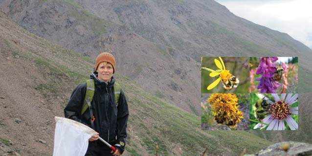 woman holding a bug net standing on a mountainside, overlaid with four images of flowers and bees