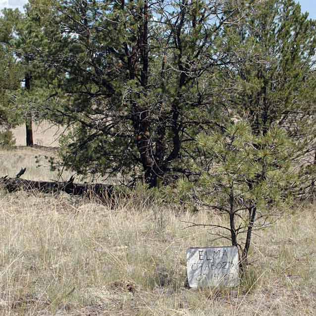 Pinyon-Juniper/Blue Grama Lava Woodland Savanna map unit at El Malpais NM