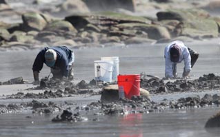 two people digging in stand with buckets nearby