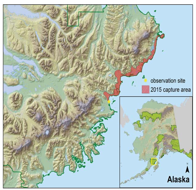 relief map of a rugged coastline with an inset map of alaska