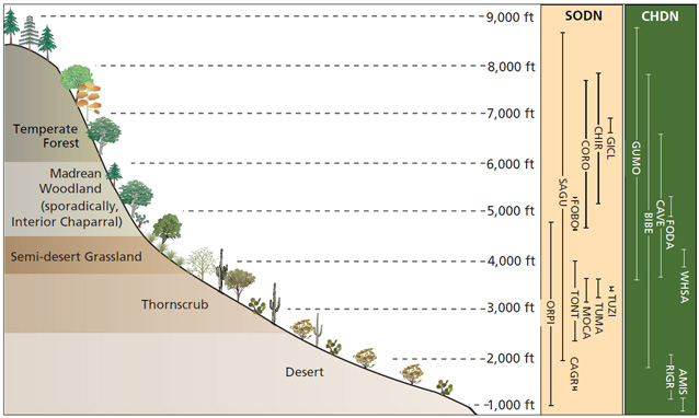 Biomes of the Sonoran Desert and Chihuahuan Desert networks. See table above for park acronyms.