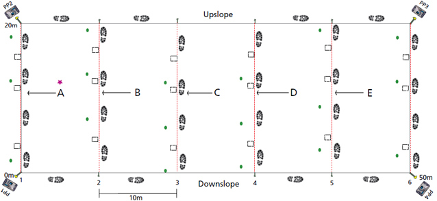 Uplands plot design