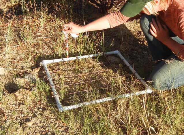 Quadrat used for biological soil crust sampling