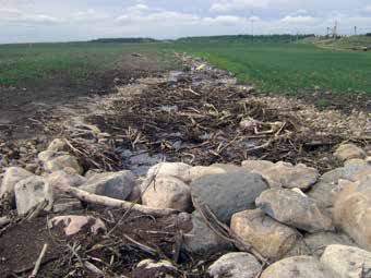 piles of rocks in a field