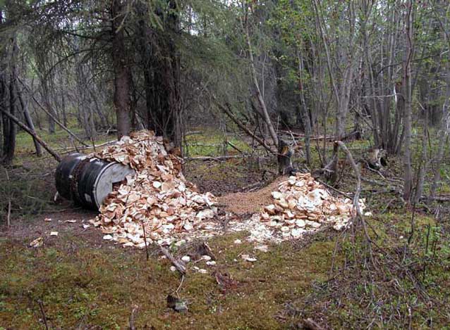 pile of food rubbish in a forest