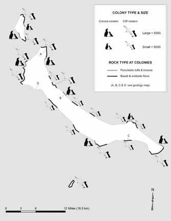 simple map diagraming how crevice-dwelling birds live in colonies around edge of islands