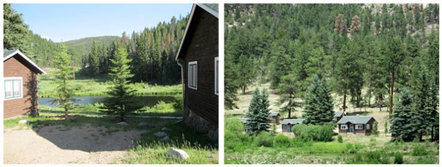 Two views show the row of cabins among the pine trees; one view from beside, one from a distance.