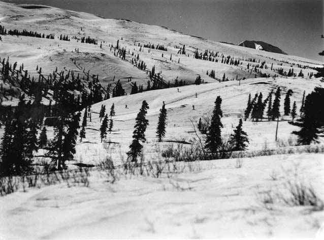 black and white image of people skiing on snowy hills