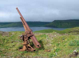 Rusted gun sitting in grass with harbor in background