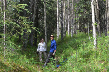 two researchers stand in a shallow trench amidst the trees