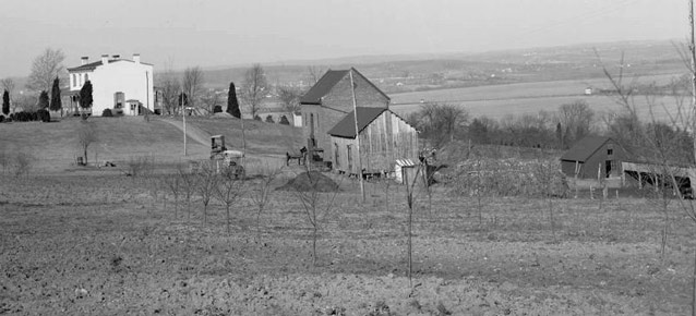 The white farm house is visible in the distance, beyond fields, barns, and young orchards.