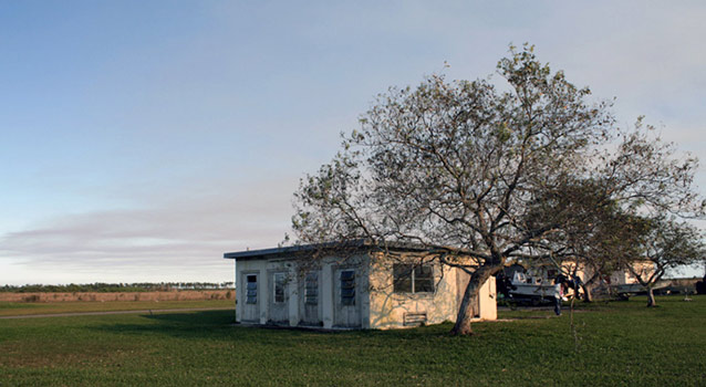 A round, airy tree leans over a rectangular one-story white building in a flat, open landscape.