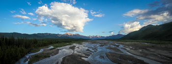 Braided, glacial river