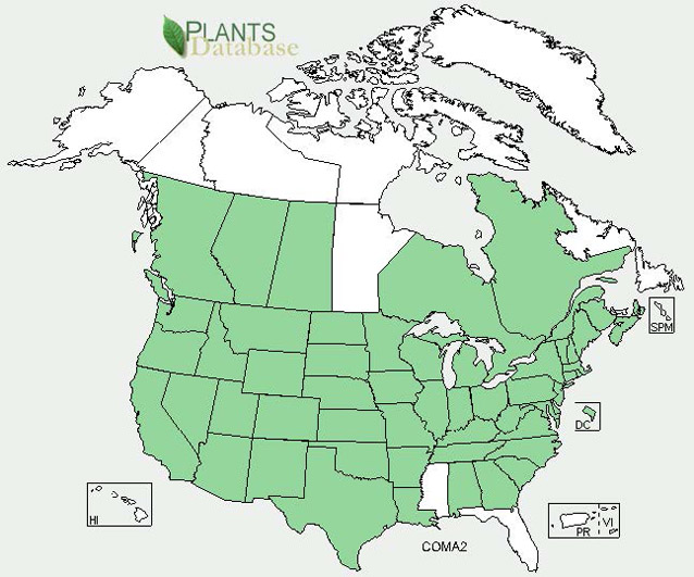 Distribution map for poison hemlock