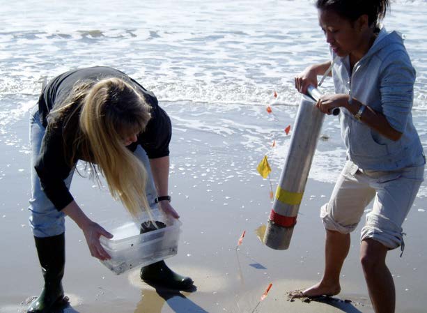 students collecting sand crabs