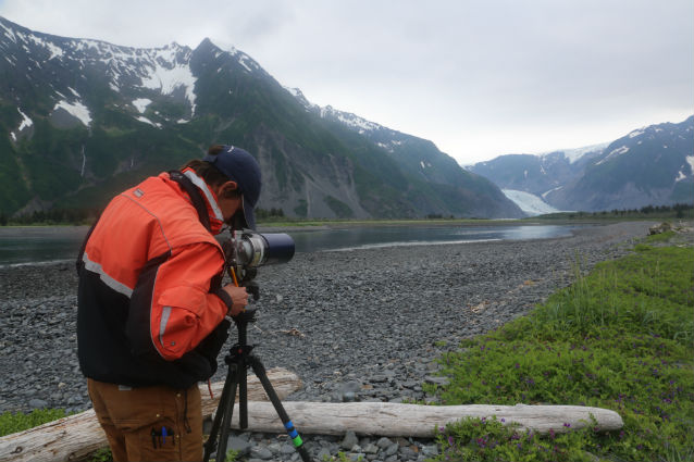 biologist conducting sea otter observations