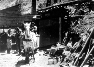 Black and white photo of a horse next to a mine