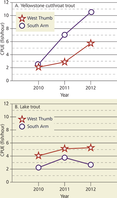 Graphs showing catch per unit effort of cutthroat trout (left) and lake trout (right)