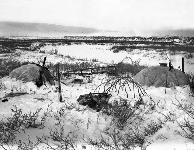 A caribou skin winter tent