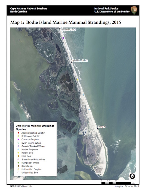 2015 Marine Mammal Summary Appendix A: Maps Cape Hatteras (U.S ...