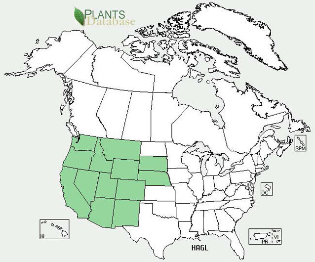 Distribution map for halogeton