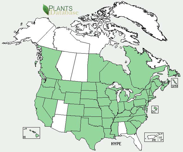 Distribution map for dyer's woad