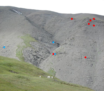 Dots show distribution of dinosaur tracks found in a rock outcrop