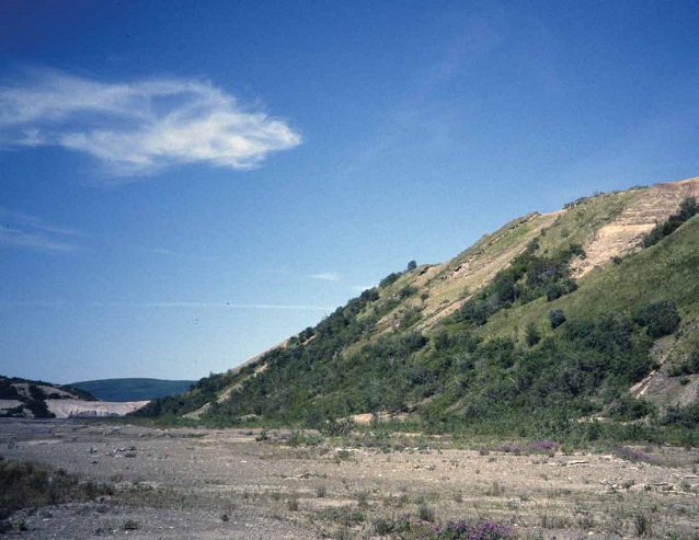 shrub covered bluff next to a valley