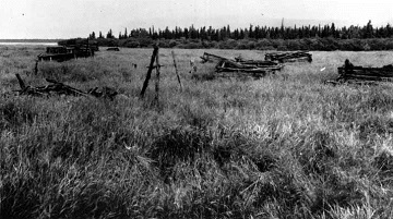 black and white photograph of abandoned log houses in a grassland