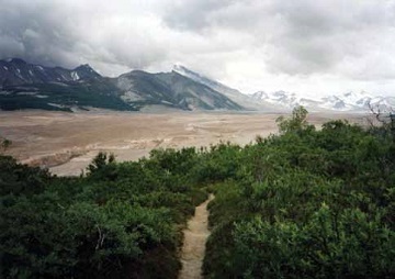 a sandy path cuts through shrubs with a brown valley and mountains in the background
