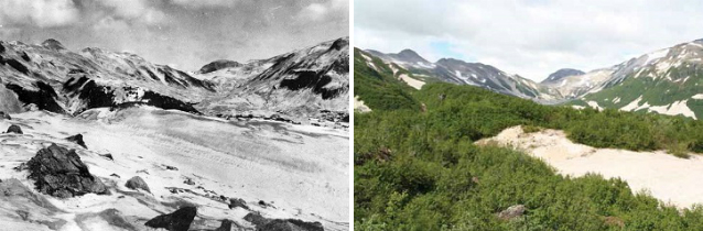 two photos showing an increase in shrub cover in a mountainous valley over time