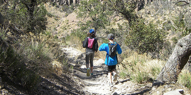 Talia leads younger brother Nate on a hike in Chiricahua National Monument.