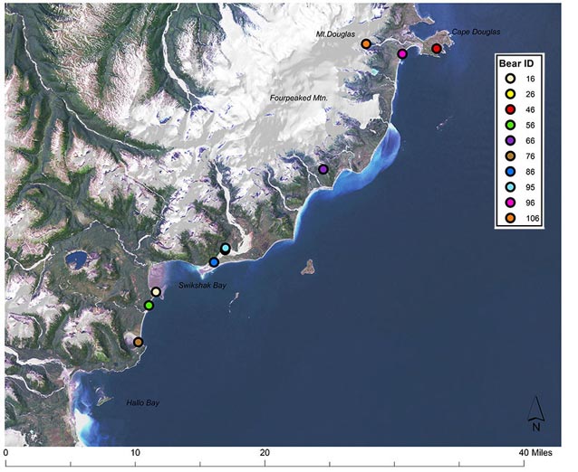 map of the coast of alaska with nine spaced out dots indicating bear capture locations