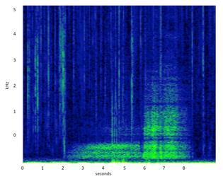 Measuring the Effects of Vessel Noise on the Vocal Behavior of Harbor ...