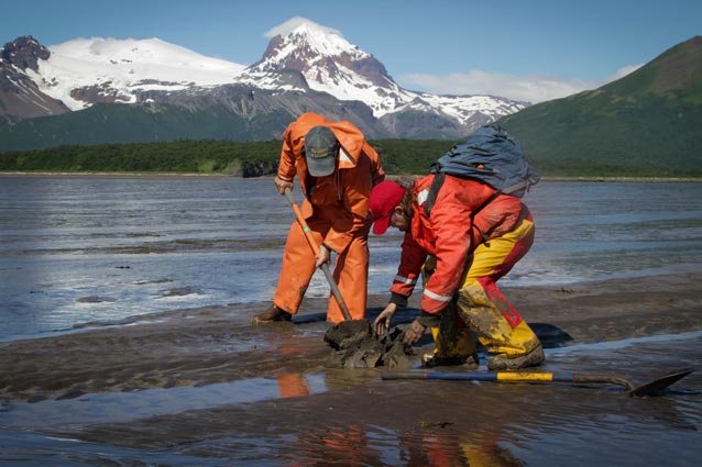 two people digging in a sandy beach 