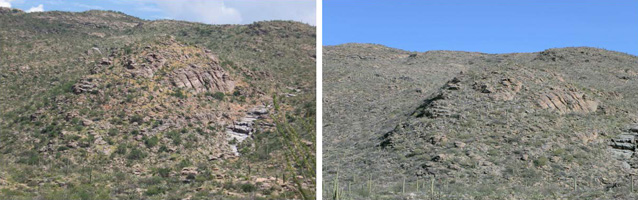 Javalina Hill in 2007 (left) and 2010 (right). Golden buffelgrass is clearly visible in 2007. 