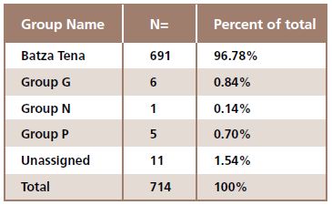 table displaying groups of obsidian and how much was found of each proportionally