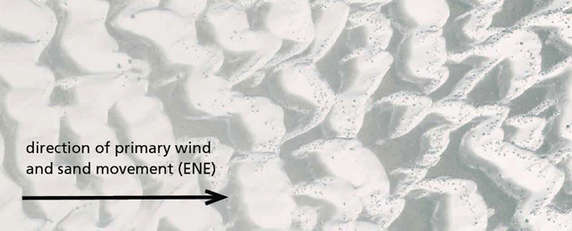 Aerial view of sand dunes where they transition from one shape to another