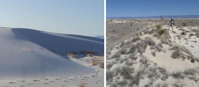 Barchan-shaped dune (left) and parabolic-shaped dune (right)