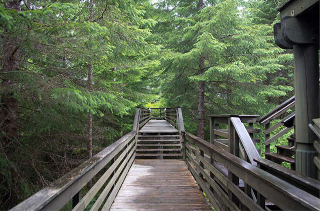 Southwest boardwalk of Glacier Bay Lodge (C. Welzenbach, NPS Cultural Landscapes Program, 2011)