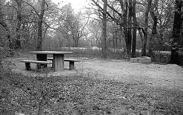 Picnic area in Rock Creek Campground (NPS)