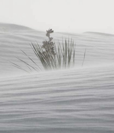 Close-up of sand/dust blowing along the surface of gypsum dunes