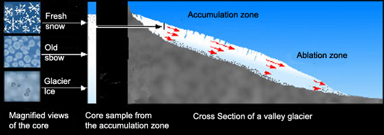 A cross section of a valley glacier, with a core showing the transformation from snow to glacier ice