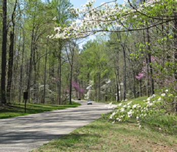 Colonial parkway